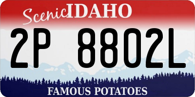 ID license plate 2P8802L