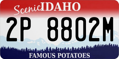 ID license plate 2P8802M
