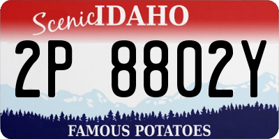 ID license plate 2P8802Y