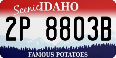 ID license plate 2P8803B