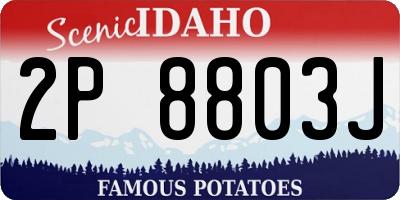ID license plate 2P8803J