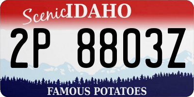 ID license plate 2P8803Z