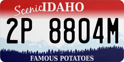 ID license plate 2P8804M