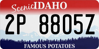 ID license plate 2P8805Z