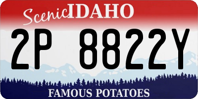 ID license plate 2P8822Y