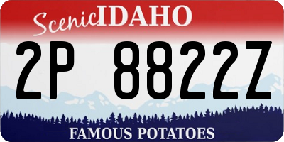 ID license plate 2P8822Z