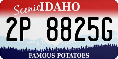 ID license plate 2P8825G
