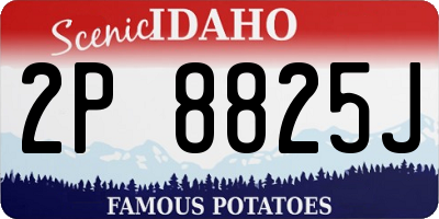 ID license plate 2P8825J