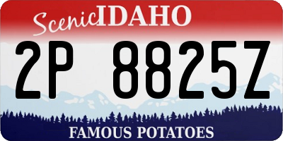 ID license plate 2P8825Z