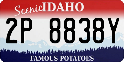 ID license plate 2P8838Y