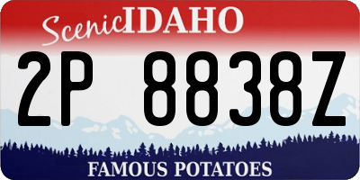 ID license plate 2P8838Z