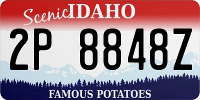 ID license plate 2P8848Z