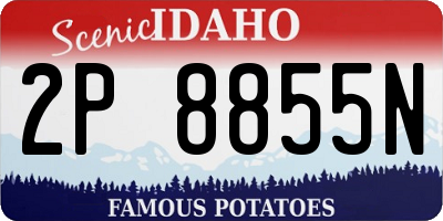 ID license plate 2P8855N
