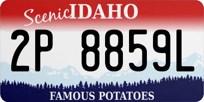 ID license plate 2P8859L