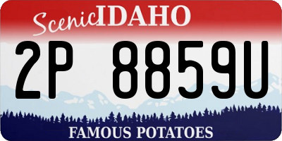 ID license plate 2P8859U