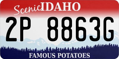 ID license plate 2P8863G