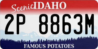 ID license plate 2P8863M