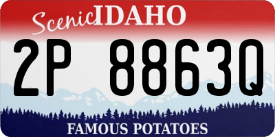 ID license plate 2P8863Q