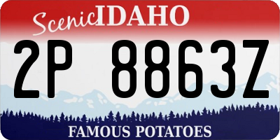ID license plate 2P8863Z