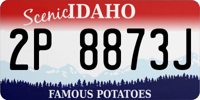 ID license plate 2P8873J