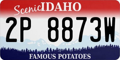 ID license plate 2P8873W