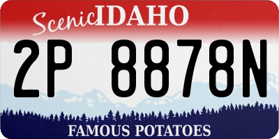 ID license plate 2P8878N