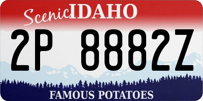 ID license plate 2P8882Z