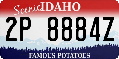ID license plate 2P8884Z