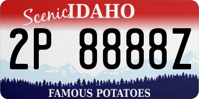 ID license plate 2P8888Z