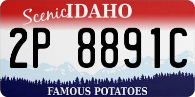 ID license plate 2P8891C