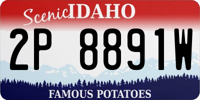 ID license plate 2P8891W