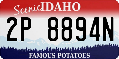 ID license plate 2P8894N