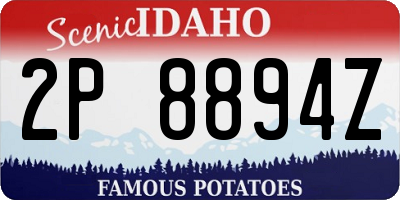 ID license plate 2P8894Z