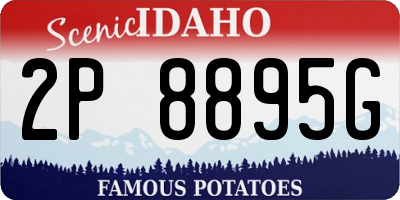 ID license plate 2P8895G