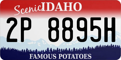 ID license plate 2P8895H