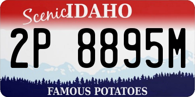 ID license plate 2P8895M