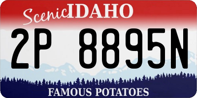 ID license plate 2P8895N