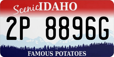 ID license plate 2P8896G