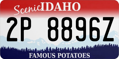 ID license plate 2P8896Z