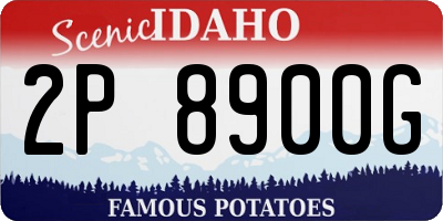 ID license plate 2P8900G