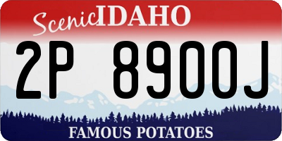 ID license plate 2P8900J