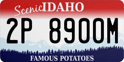 ID license plate 2P8900M