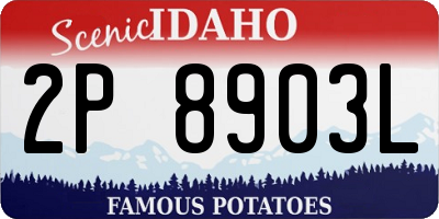 ID license plate 2P8903L