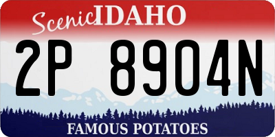 ID license plate 2P8904N