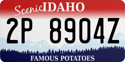 ID license plate 2P8904Z