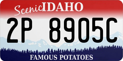 ID license plate 2P8905C