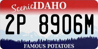 ID license plate 2P8906M
