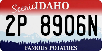 ID license plate 2P8906N