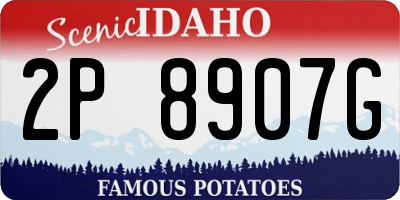 ID license plate 2P8907G