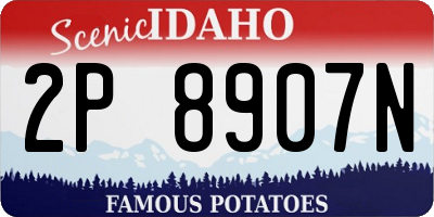 ID license plate 2P8907N